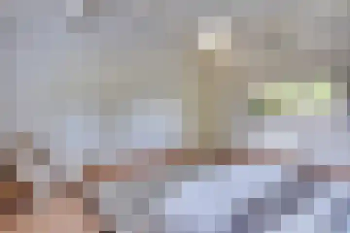 Kleine Heitrak 30 Asten thumbnail 40