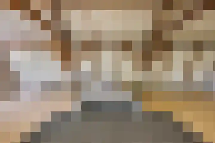 Kleine Heitrak 30 Asten thumbnail 43