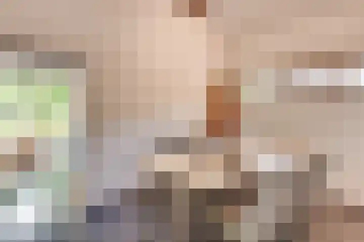 Kleine Heitrak 30 Asten thumbnail 52