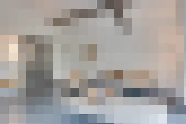 Kleine Heitrak 30 Asten thumbnail 56