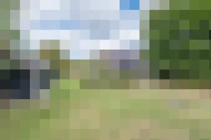 Kleine Heitrak 30 Asten thumbnail 60