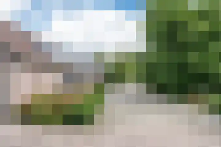 Kleine Heitrak 30 Asten thumbnail 61