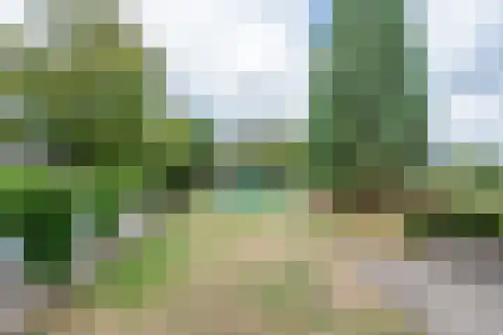 Kleine Heitrak 30 Asten thumbnail 62