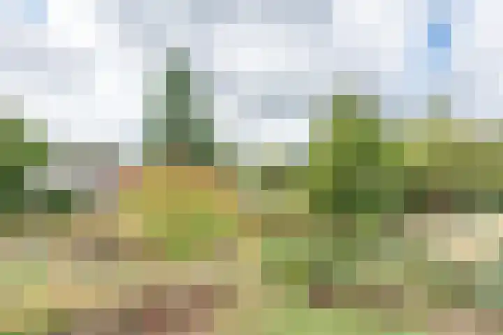 Kleine Heitrak 30 Asten thumbnail 67