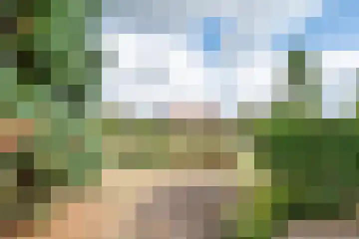 Kleine Heitrak 30 Asten thumbnail 68