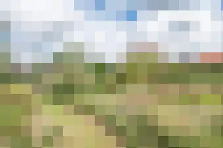 Kleine Heitrak 30 Asten thumbnail 69