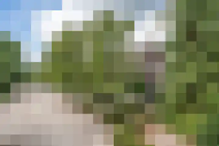 Kleine Heitrak 30 Asten thumbnail 7
