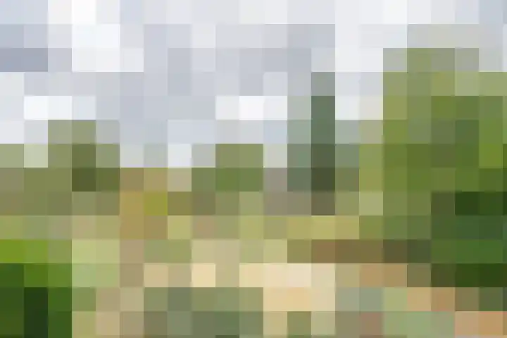 Kleine Heitrak 30 Asten thumbnail 70