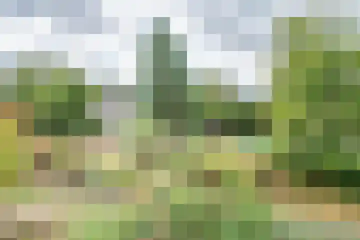 Kleine Heitrak 30 Asten thumbnail 71
