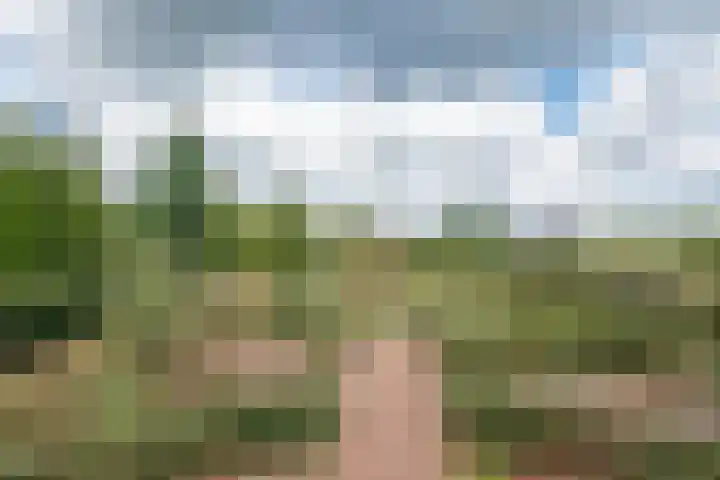Kleine Heitrak 30 Asten thumbnail 72