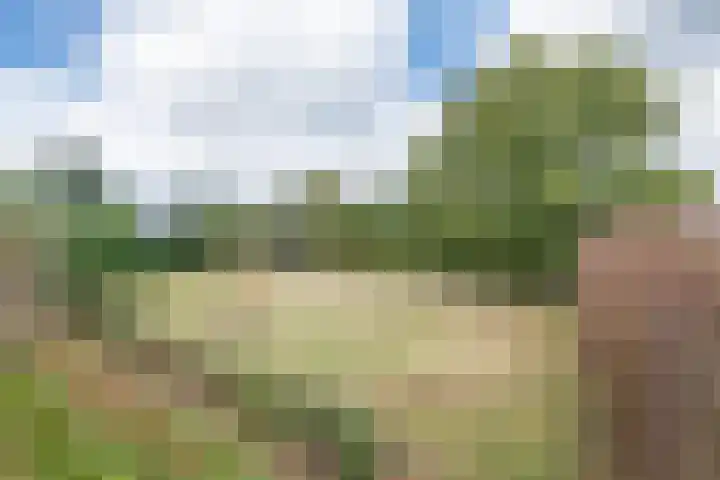 Kleine Heitrak 30 Asten thumbnail 73