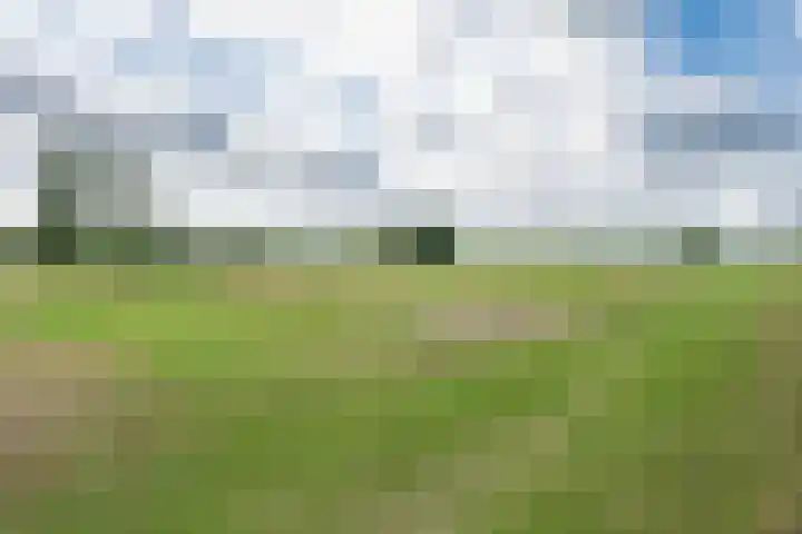 Kleine Heitrak 30 Asten thumbnail 74