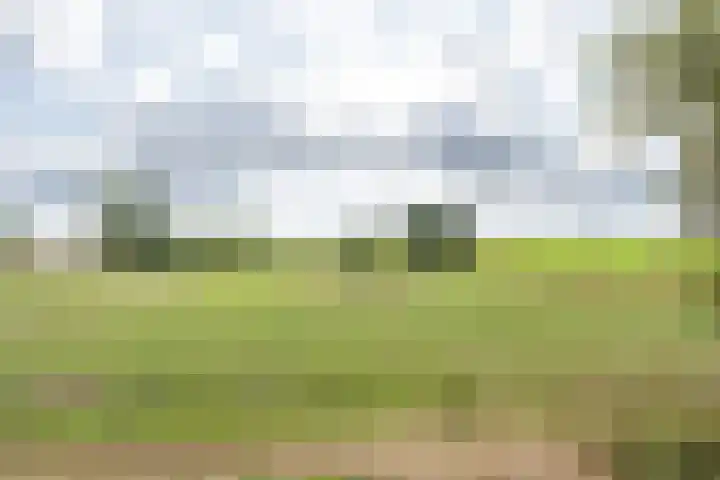 Kleine Heitrak 30 Asten thumbnail 75