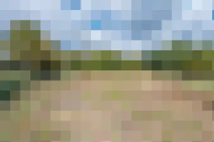 Kleine Heitrak 30 Asten thumbnail 76