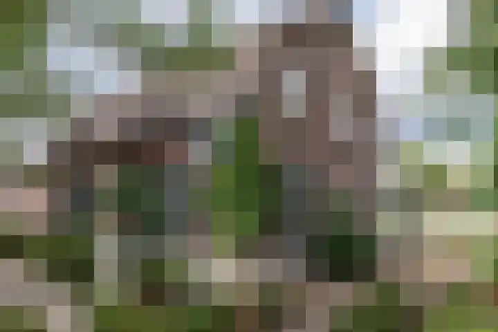 Kleine Heitrak 30 Asten thumbnail 8