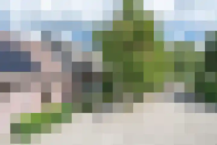 Kleine Heitrak 30 Asten thumbnail 9
