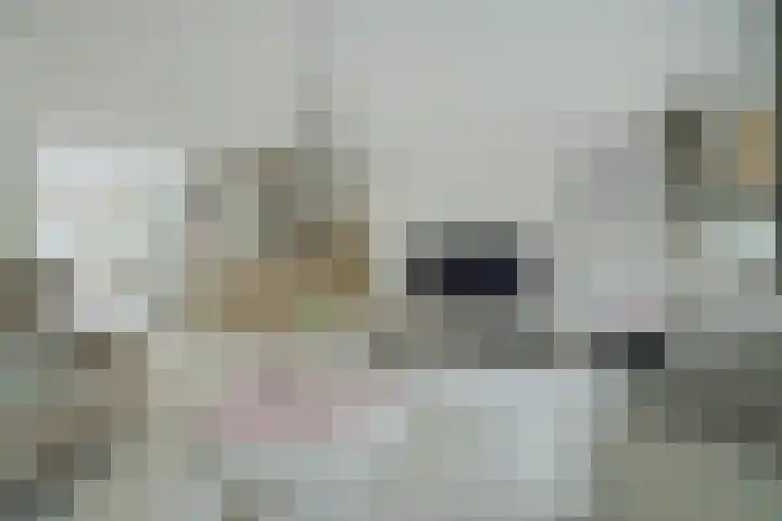 Kleine Hil 12 Breda thumbnail 21