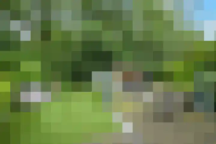 Kleine Hil 12 Breda thumbnail 22