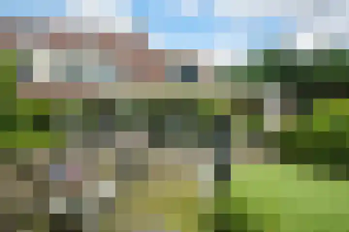Kleine Hil 12 Breda thumbnail 23
