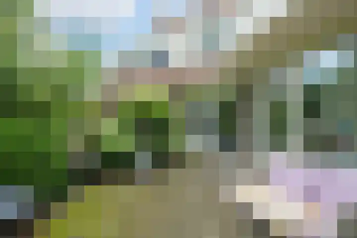 Kleine Hil 12 Breda thumbnail 24