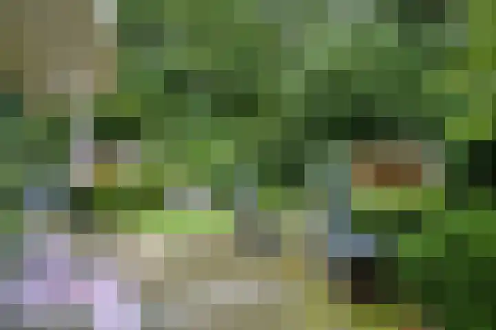 Kleine Hil 12 Breda thumbnail 27