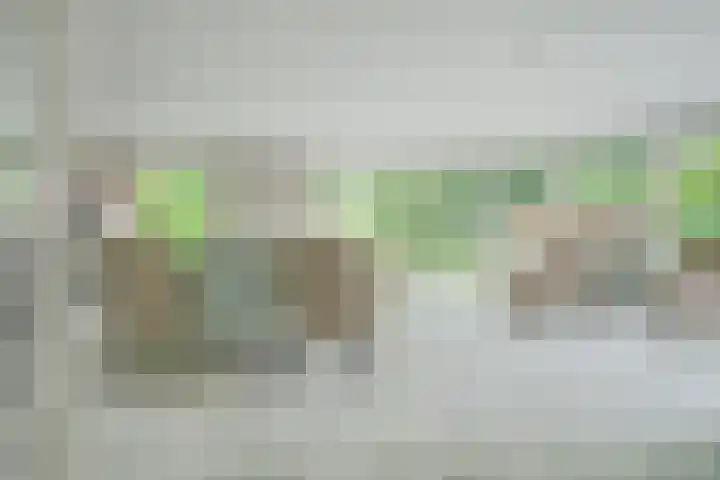 Kleine Hil 12 Breda foto 3
