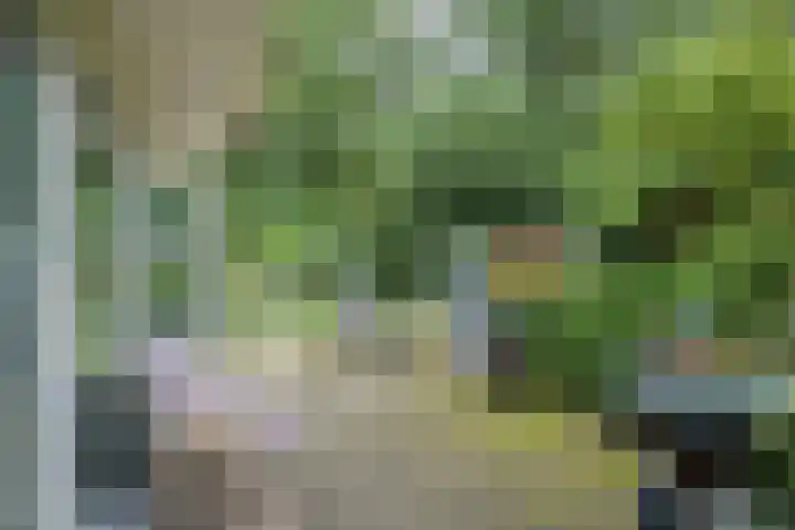 Kleine Hil 12 Breda thumbnail 30