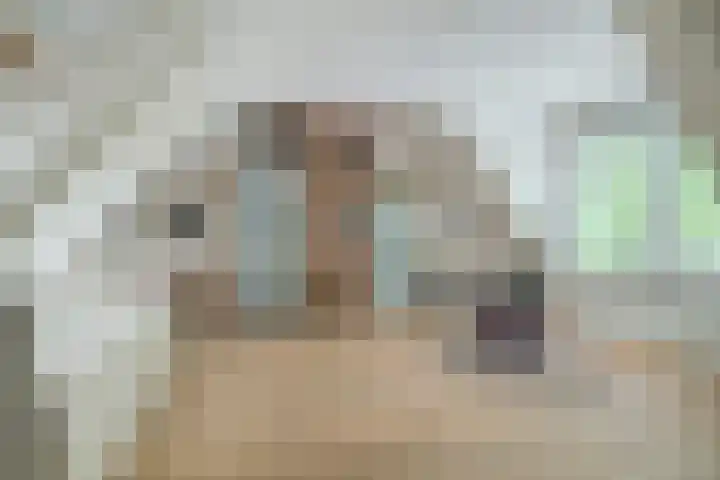 Kleine Hil 12 Breda thumbnail 33