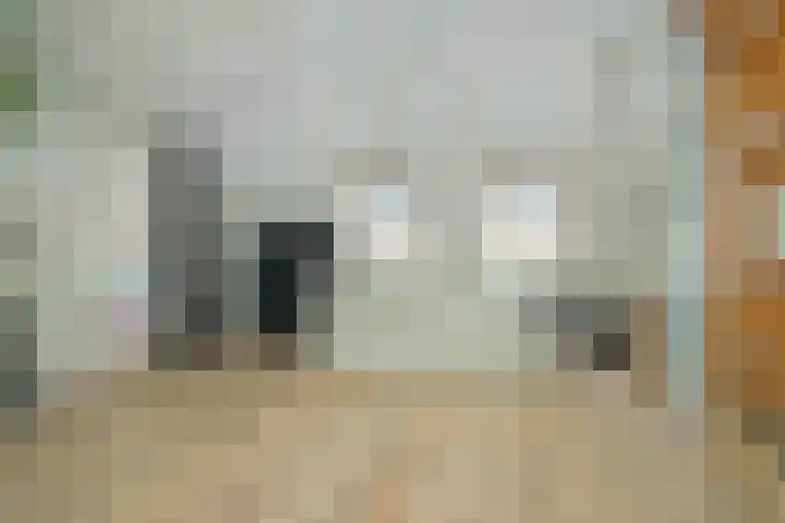 Kleine Hil 12 Breda thumbnail 34