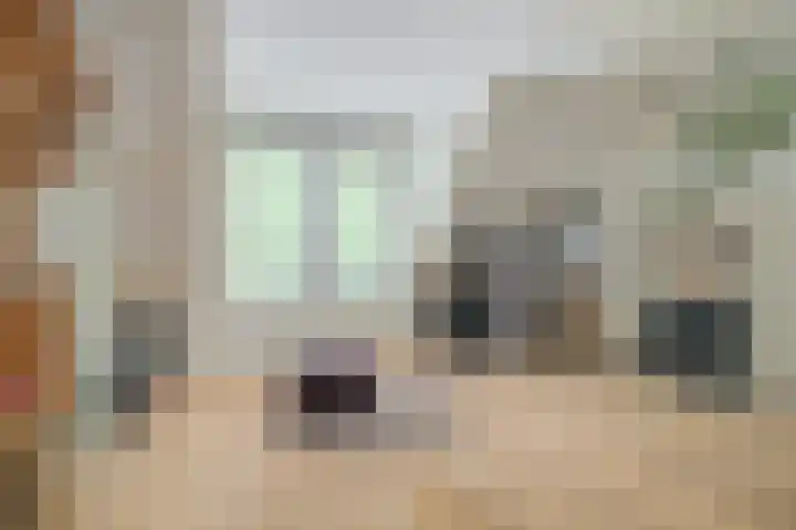 Kleine Hil 12 Breda thumbnail 35