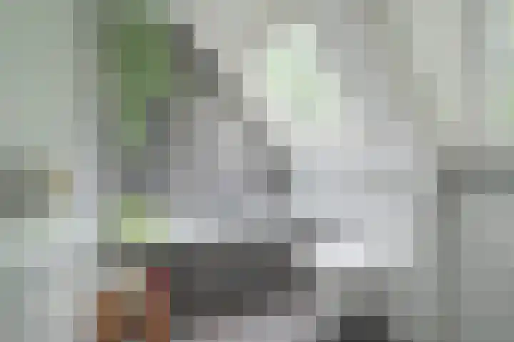 Kleine Hil 12 Breda thumbnail 42