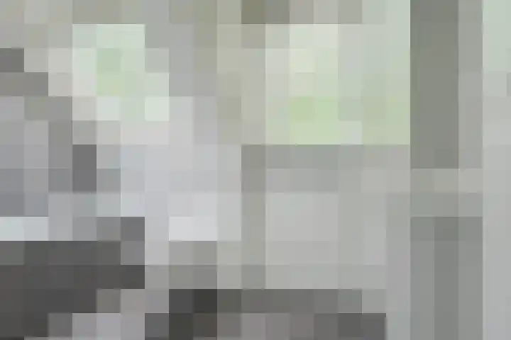 Kleine Hil 12 Breda thumbnail 43