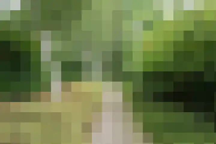 Kleine Hil 12 Breda thumbnail 54