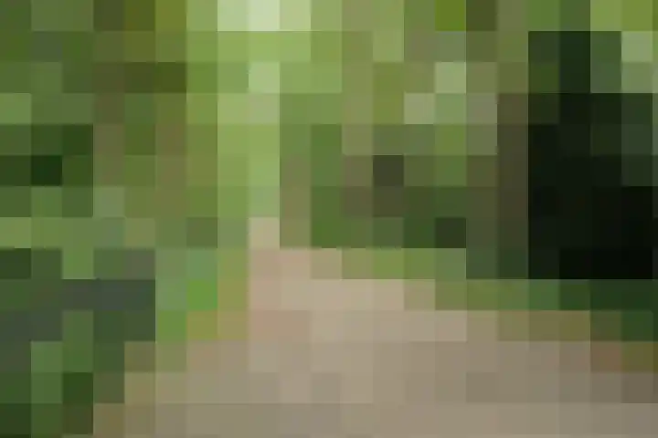 Kleine Hil 12 Breda thumbnail 55