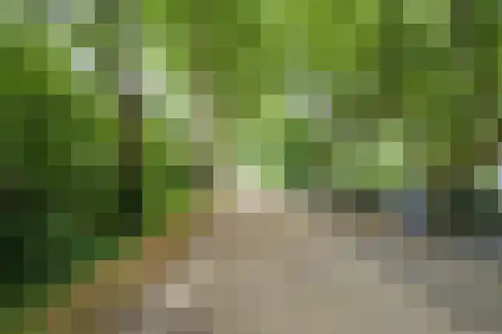 Kleine Hil 12 Breda thumbnail 56