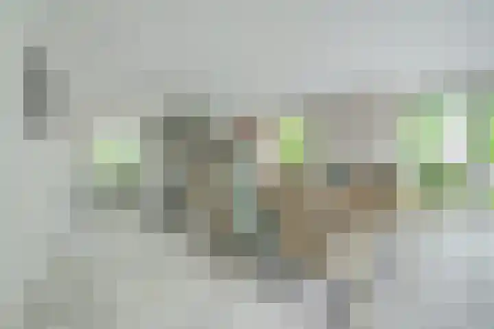 Kleine Hil 12 Breda thumbnail 9