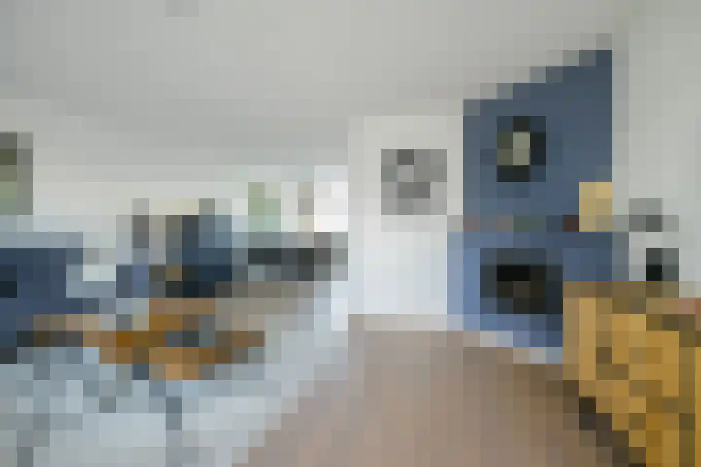 Kleine Hil 2 Breda thumbnail 10