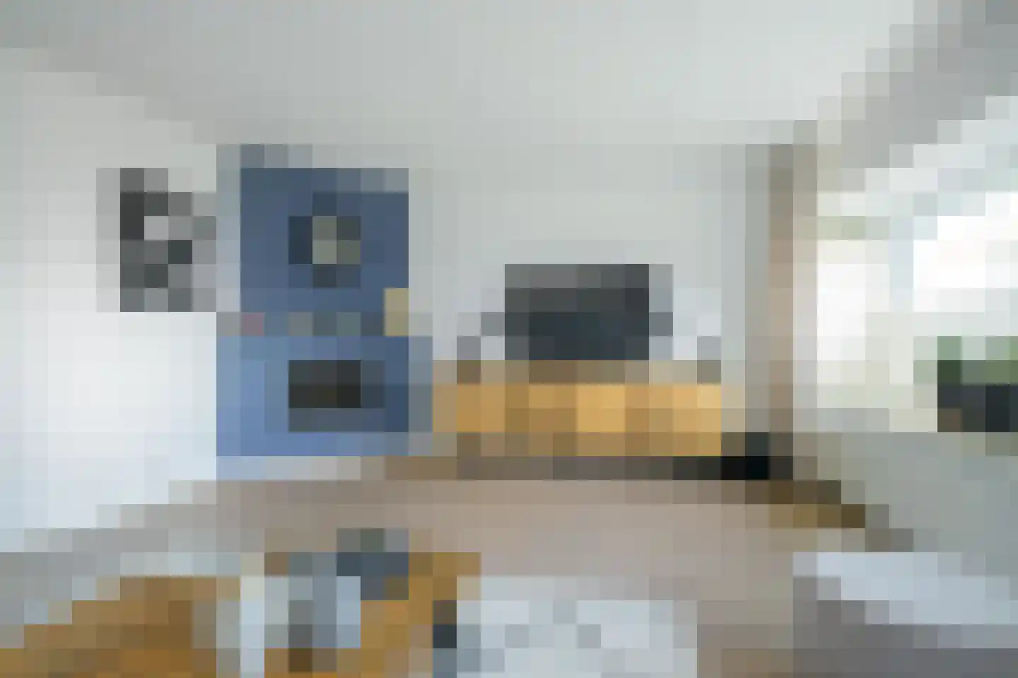 Kleine Hil 2 Breda thumbnail 12