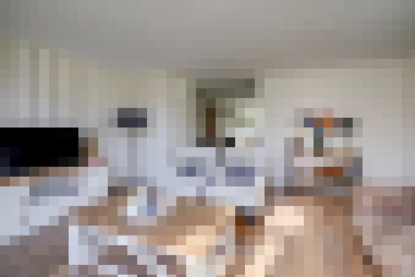 Kleine Hof 24 Vleuten thumbnail 15