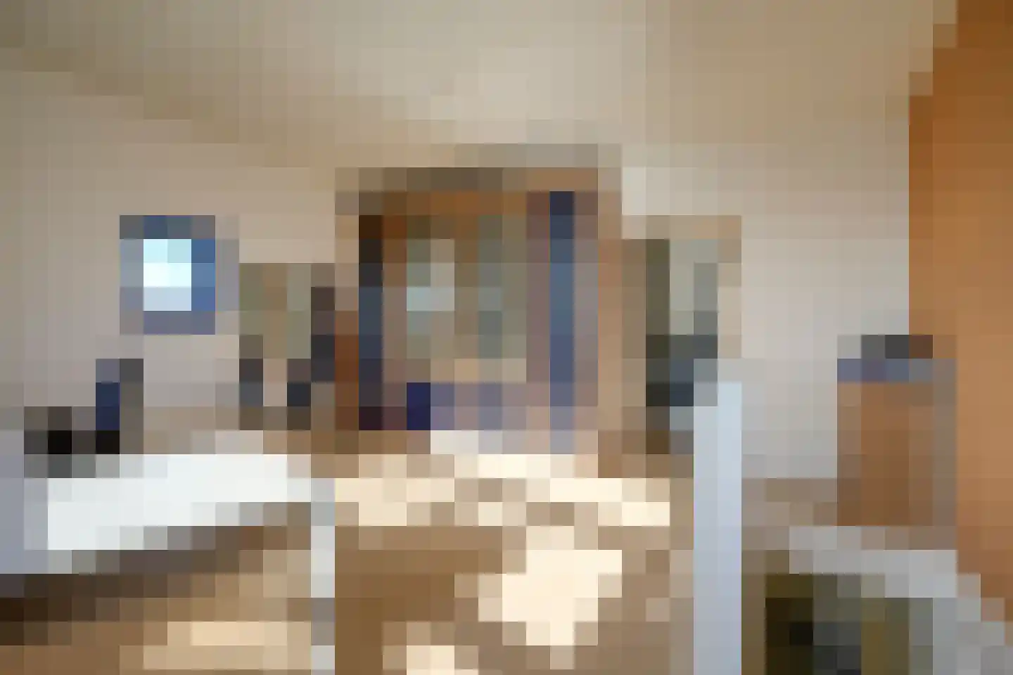 Kleine Hof 24 Vleuten thumbnail 42