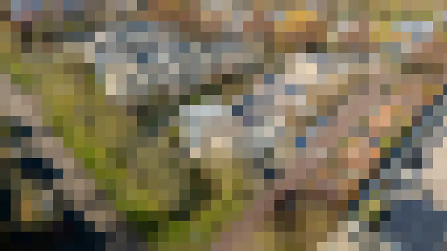 Kleine Hof 24 Vleuten thumbnail 49