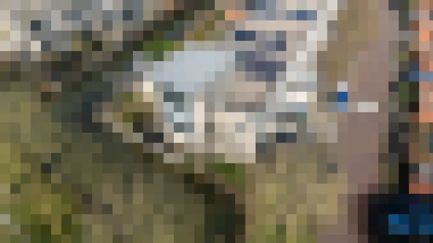 Kleine Hof 24 Vleuten thumbnail 50