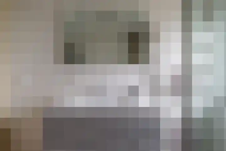 Kleine Hof 27 Vleuten thumbnail 15