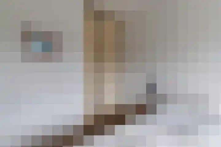 Kleine Hof 27 Vleuten thumbnail 17