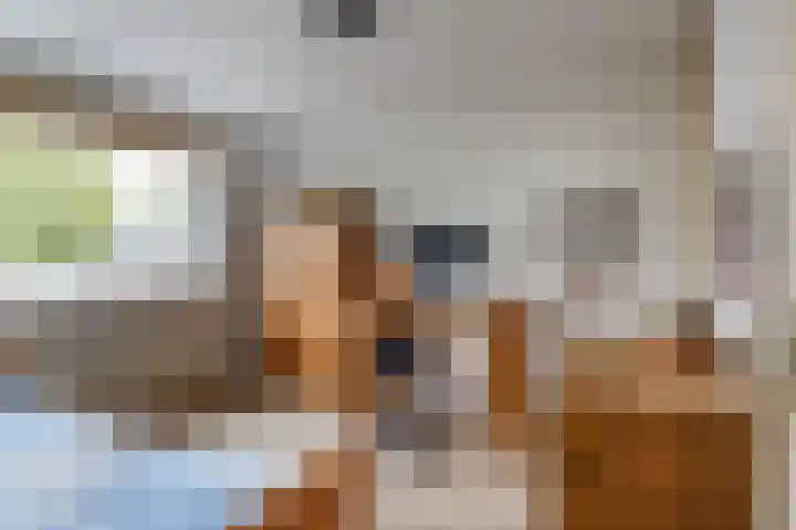 Kleine Hof 27 Vleuten thumbnail 18