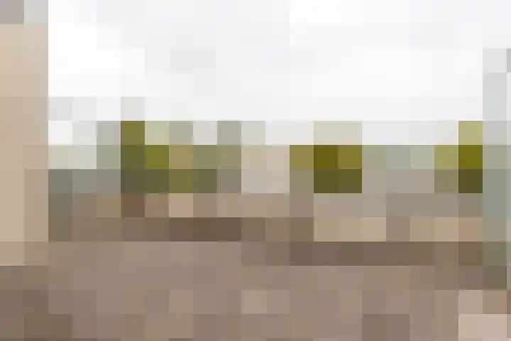 Kleine Hof 27 Vleuten thumbnail 23