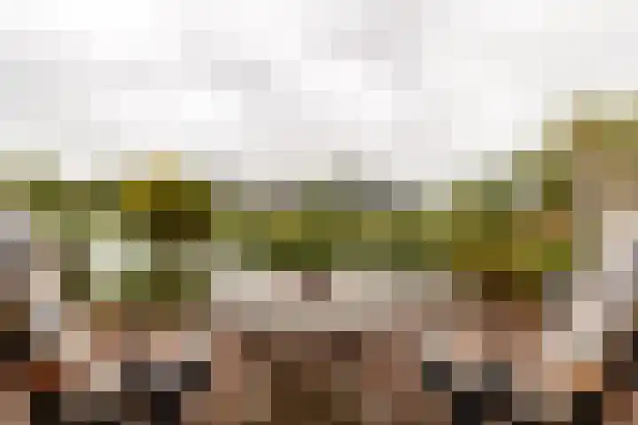 Kleine Hof 27 Vleuten thumbnail 24