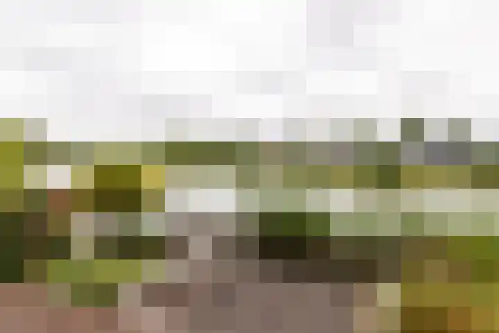Kleine Hof 27 Vleuten thumbnail 25