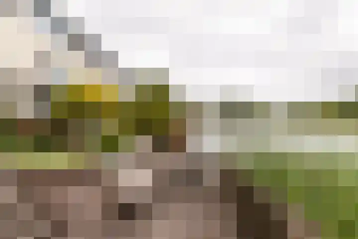 Kleine Hof 27 Vleuten thumbnail 26