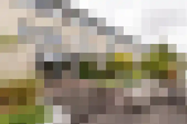 Kleine Hof 27 Vleuten thumbnail 27